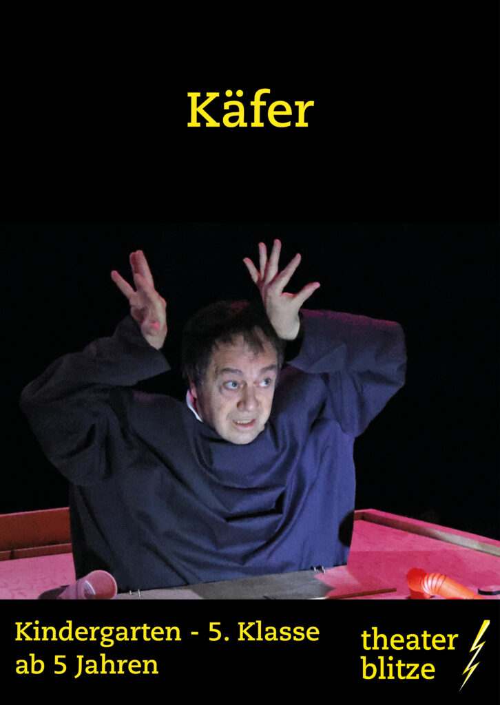 Käfer Portfoliobilder